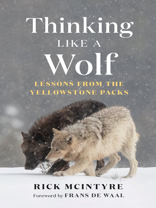 Title details for Thinking Like a Wolf by Rick McIntyre - Available